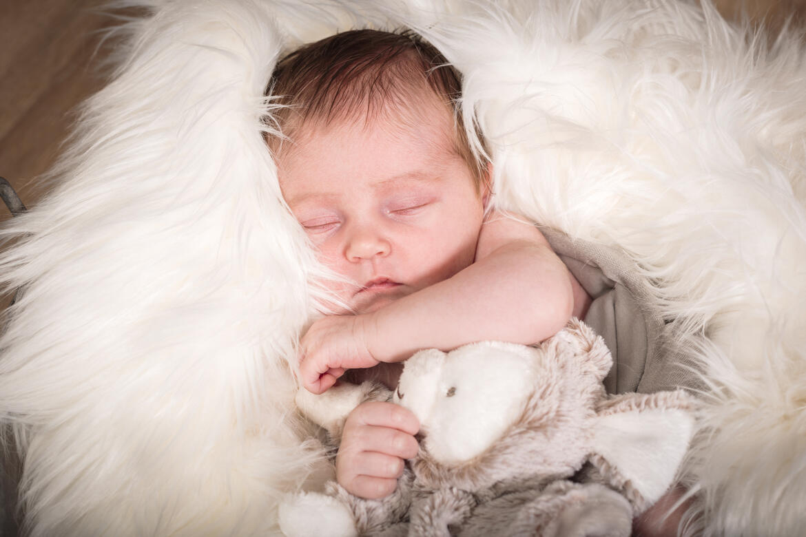séance nouveau né bébé studio photo Guebwiller