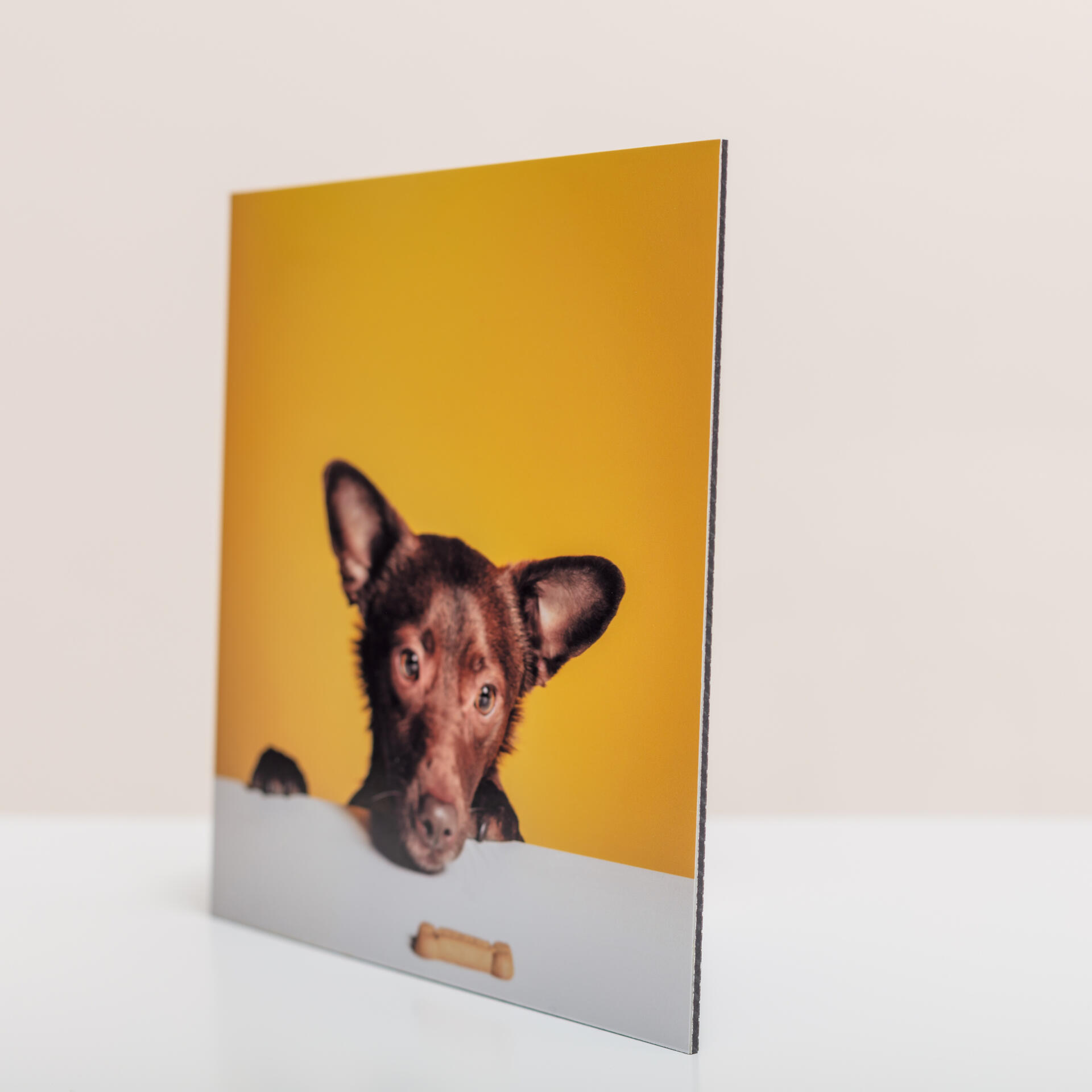 tableau Alu Dibond studio photo Guebwiller