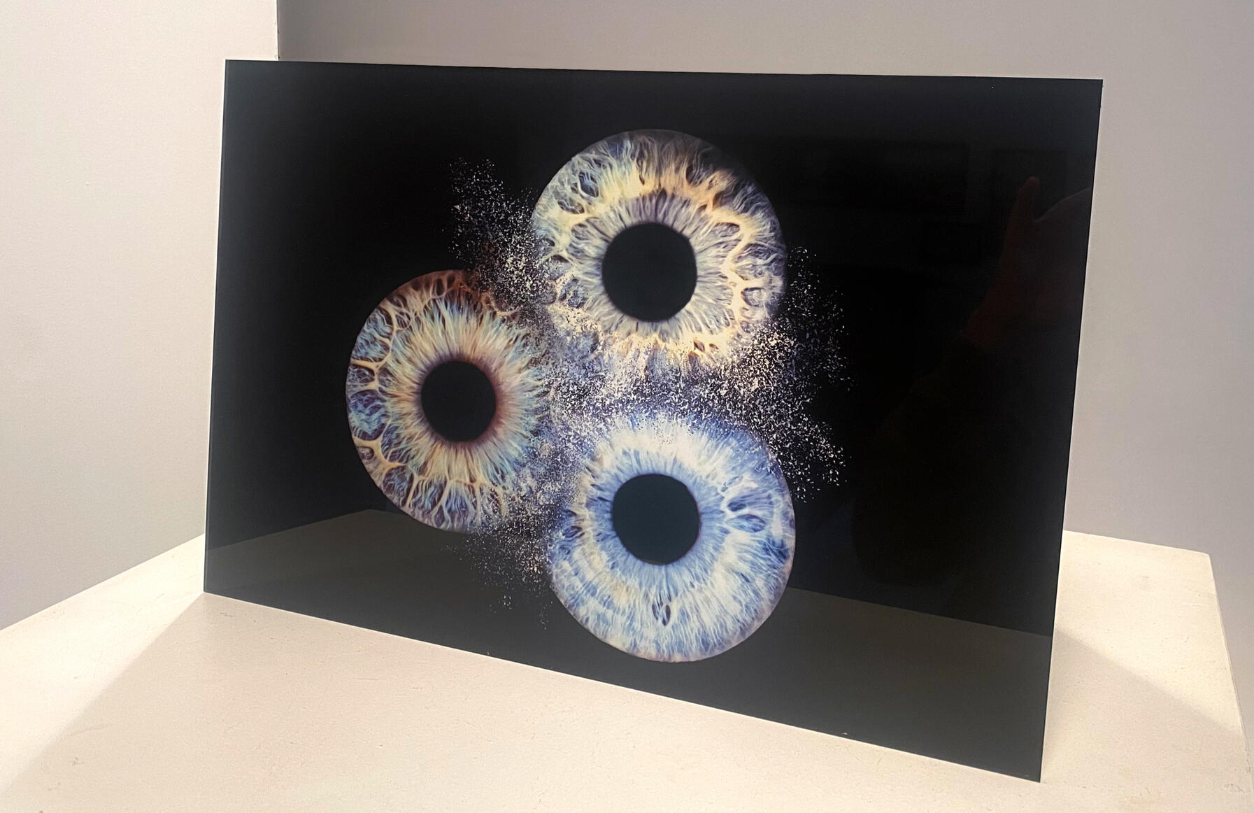 tableau acrylique studio photo Guebwiller