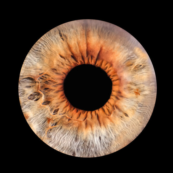 séance Iris photo studio Guebwiller montage tableau oeil