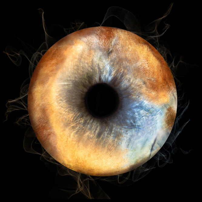 séance photo iris humain animal cadre photo montage