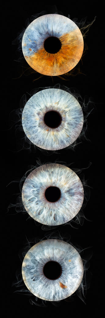 séance Iris photo studio Guebwiller montage tableau oeil