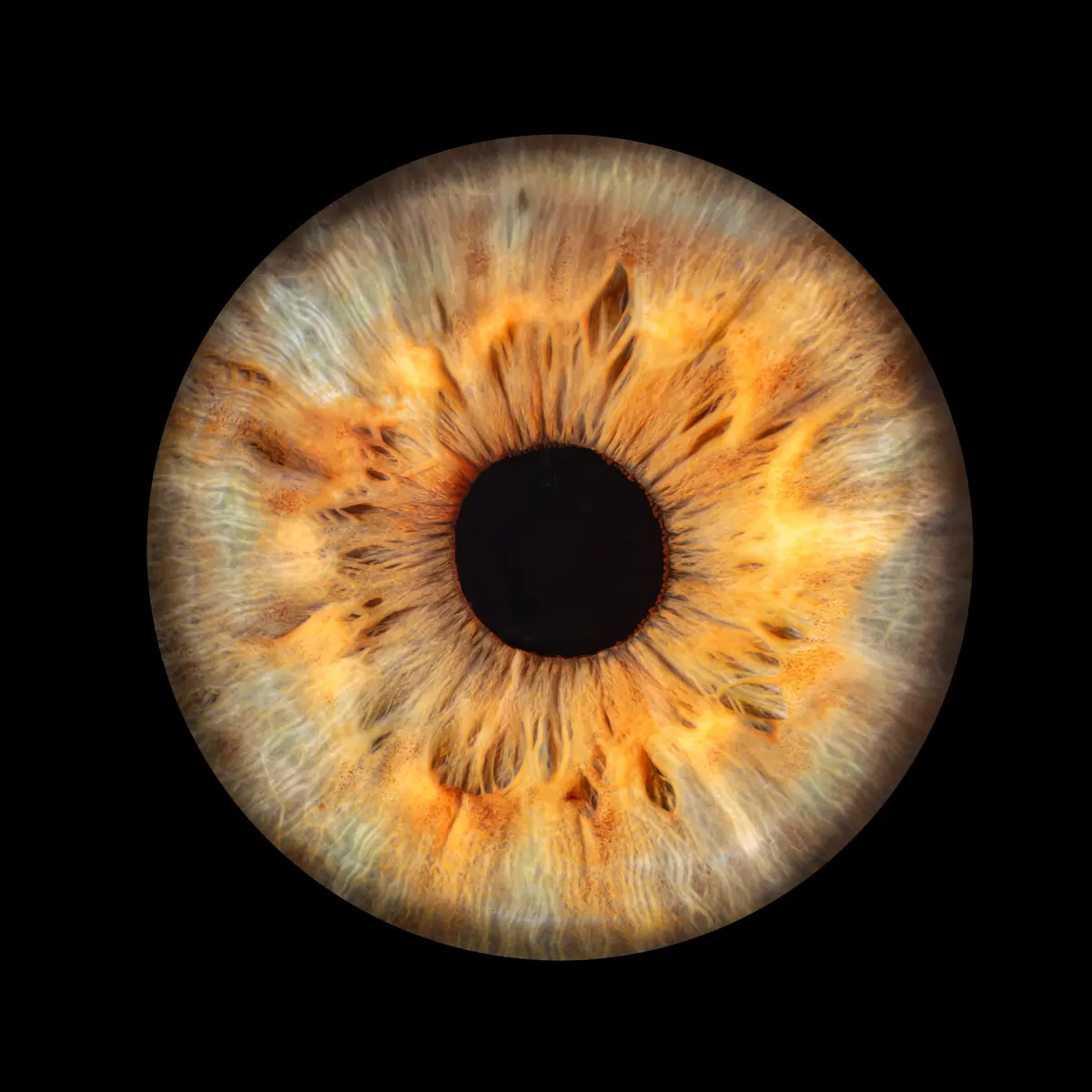 Photo iris œil bleu — Studio Deux-Quatre