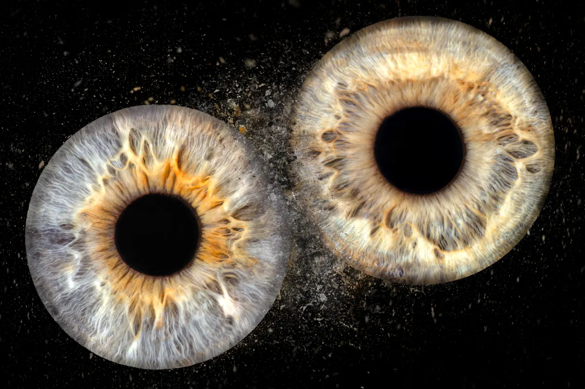 Macro iris couleur Haut-Rhin — Studio Deux-Quatre