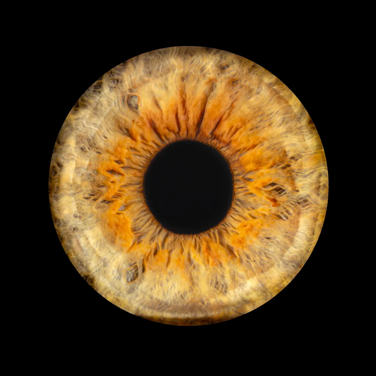 Portrait iris unique — Studio Deux-Quatre Guebwiller